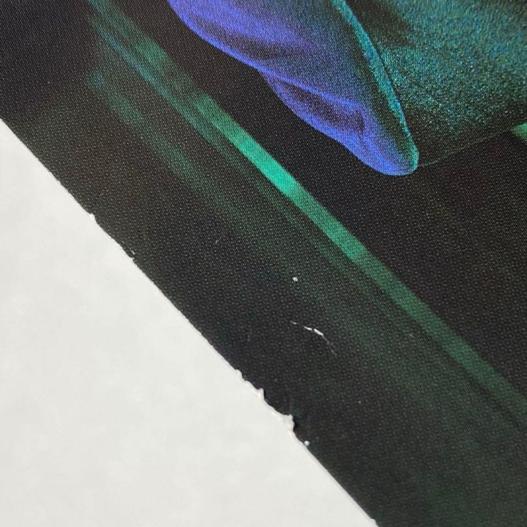 luz ルス AMULET 通常盤 歌い手