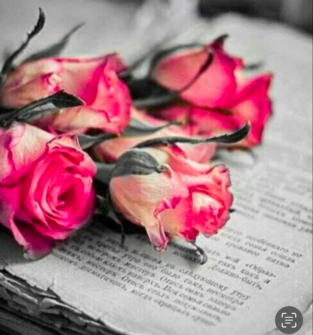 オーダー専用　他の方はコメントご購入お控えください。