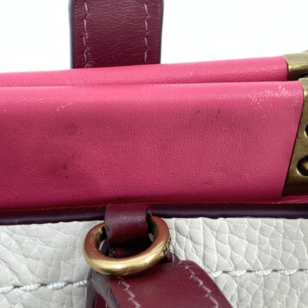 コーチ トループ キャリーオール 2way ハンドバッグ 本革 バイカラー