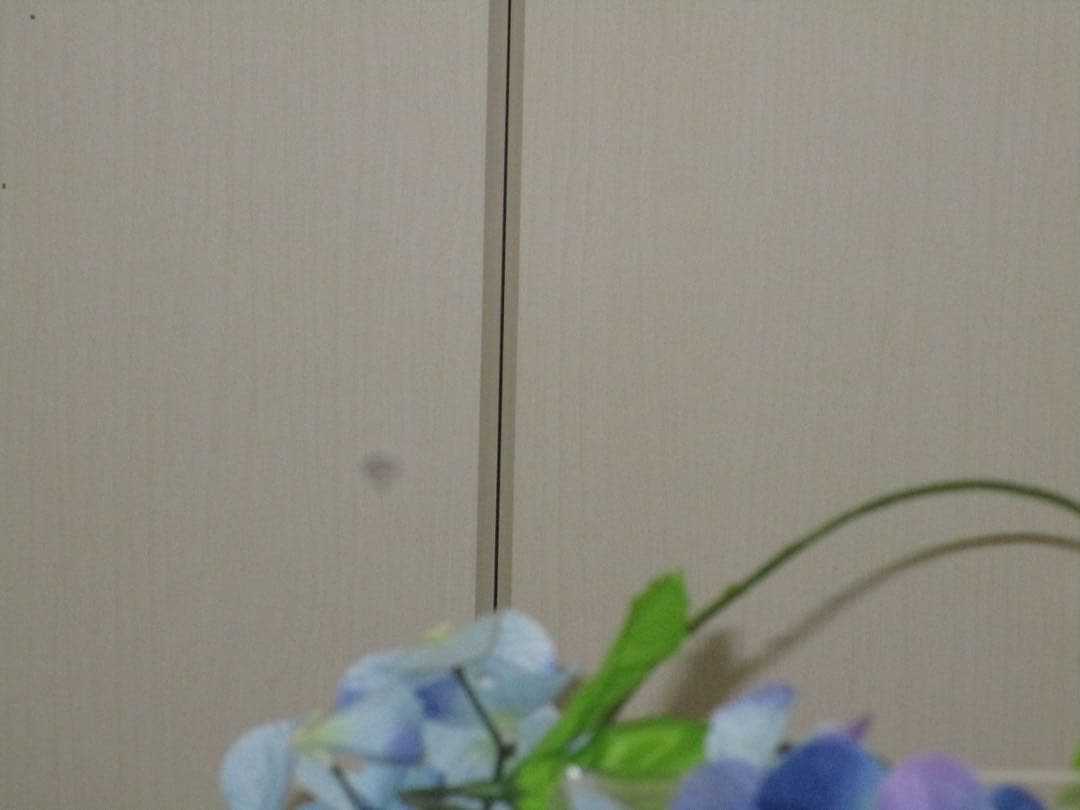 Canon IXY 190 PC2266 充電器　レッド コンデジ　訳あり