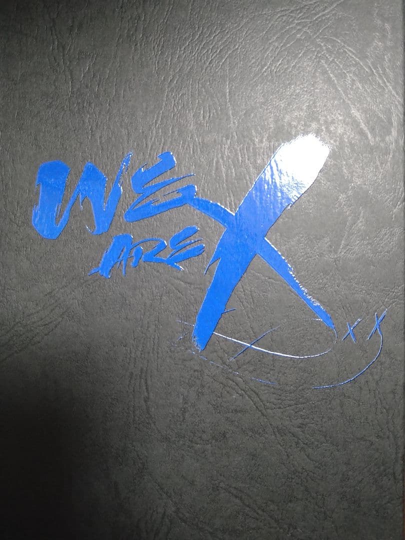 ほぼ新品　X JAPAN　WE ARE  X ブルーレイ　スペシャルエディション