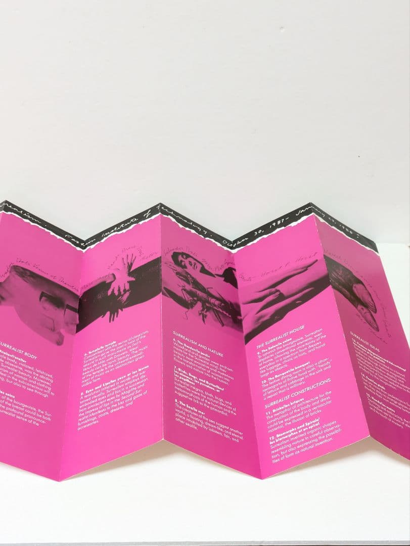 ファッションとシュルレアリスムリチャード・マーティン 著　洋書　ハードカバー