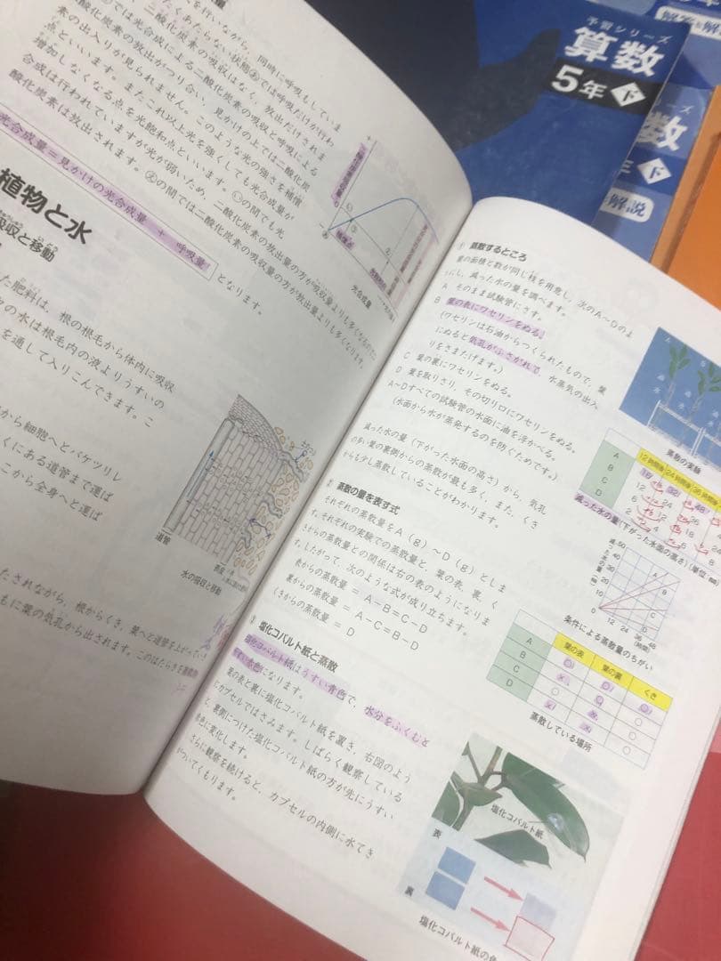 四谷大塚5年予習シリーズ国算理社/漢字　上下　中古　2023年版