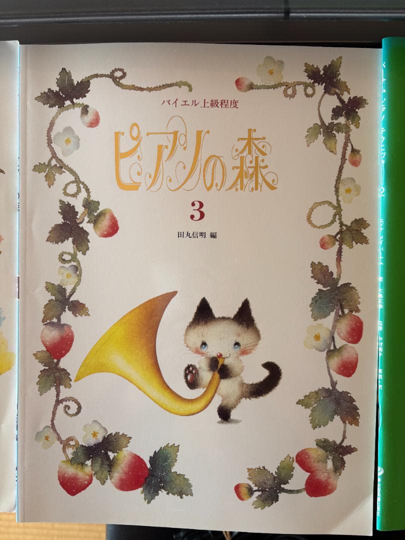 光ナビゲーション CASIO Privia PX-500Lスタンド付+教本7冊