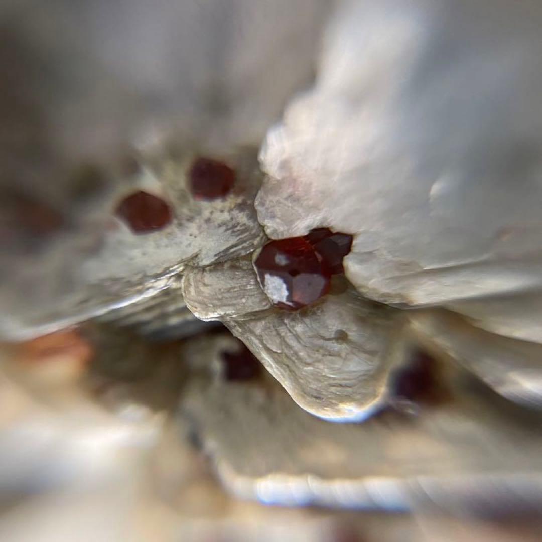 パキスタン産 白雲母上の満礬柘榴石 モスコバイト スペサルティン 外国産鉱物標本