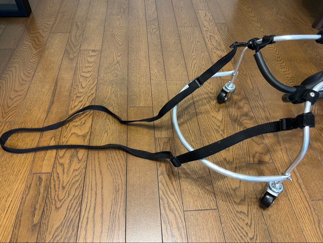 犬の車椅子　ポチの車椅子