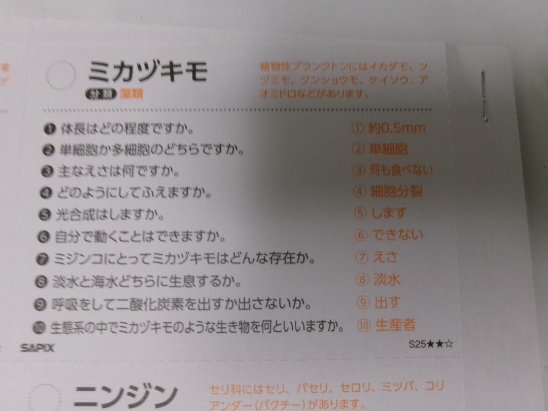 サピックス＊４年５年６年＊理科／生物（動物 植物）暗記カード・全８０枚完全版