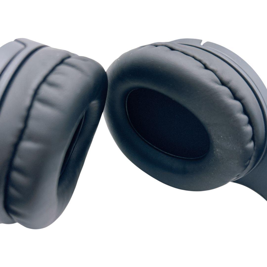 【付属品完備】美品 audio-technica ATH-EP1000IR