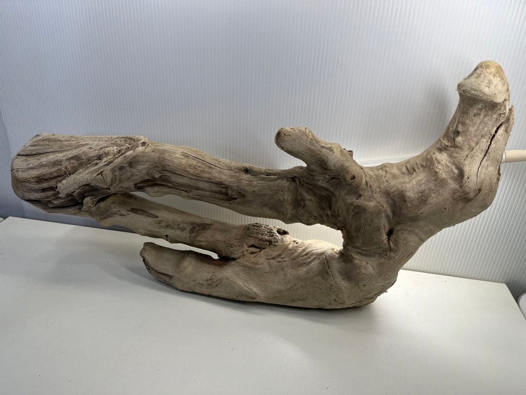 k6大型流木 アク抜き済み 爬虫類シェルター レイアウト用 登り木 インテリア