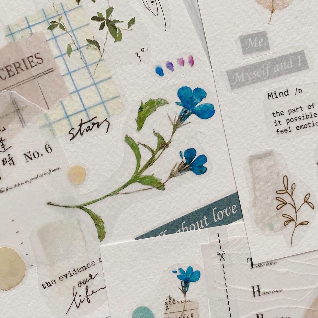 新品　Shiwu　Collage04〜07　PET霧面マスキングテープ　4本