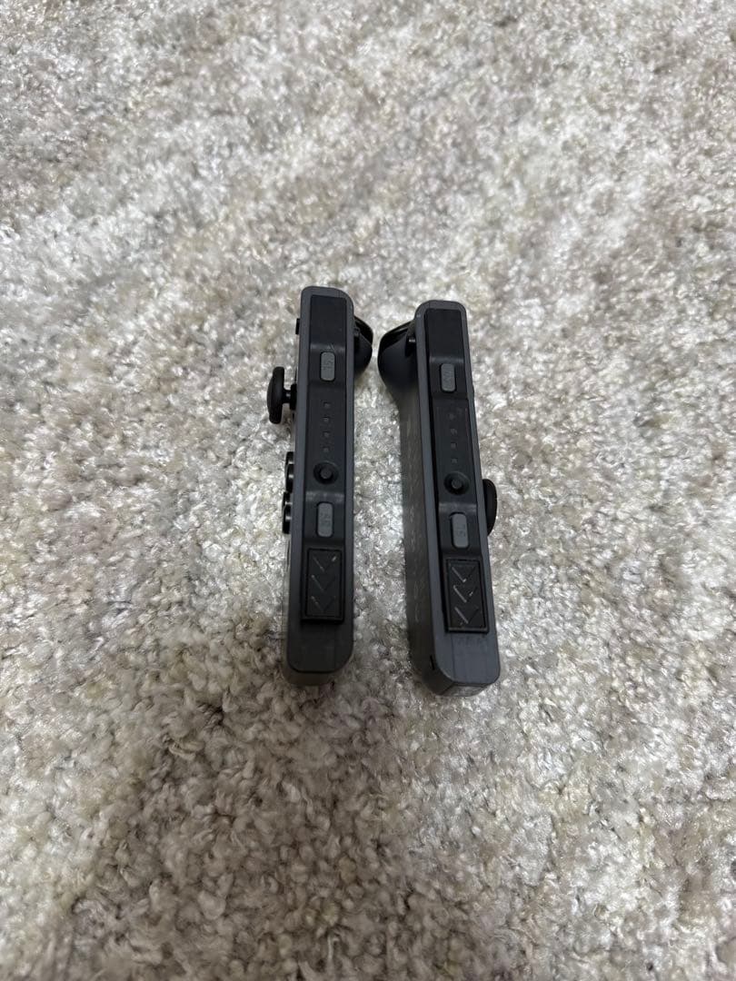 美品！Nintendo Switch モンスターハンターライズ　本体　オマケつき