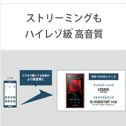 【美品】SONY ウォークマン ハイレゾ対応 MP3プレーヤー NW-A106