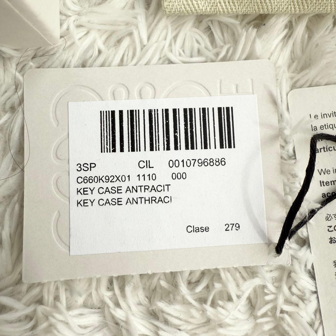 【未使用品】ロエベ メンズ キーケース ソフトグレインカーフ ６連 アナグラム