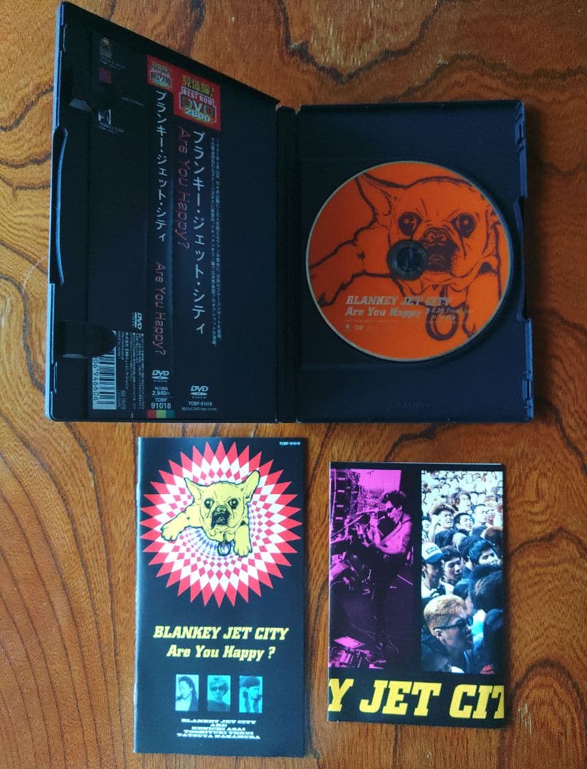 ブランキー　Blankey Jet City DVD 5枚