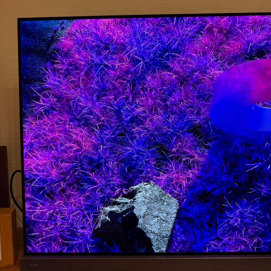 レグザ　55X9400S 有機ELテレビ 55インチ