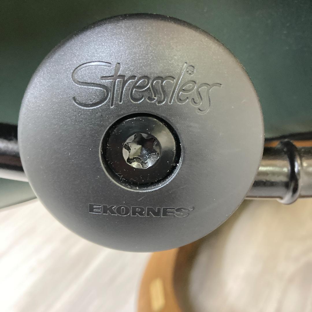 エコーネス 　ストレスレスチェア　 リクライニングチェア 　ソファ　 本革