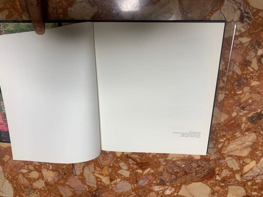 建築　カルロ・スカルパ 洋書　Carlo Scarpa