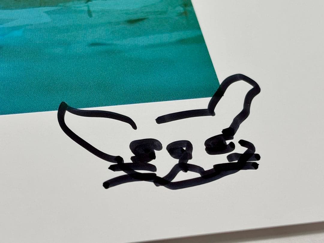 #藤城清治「本当の雨があがったら音楽の雨を降らせよう」レフグラフ 本人サイン入り