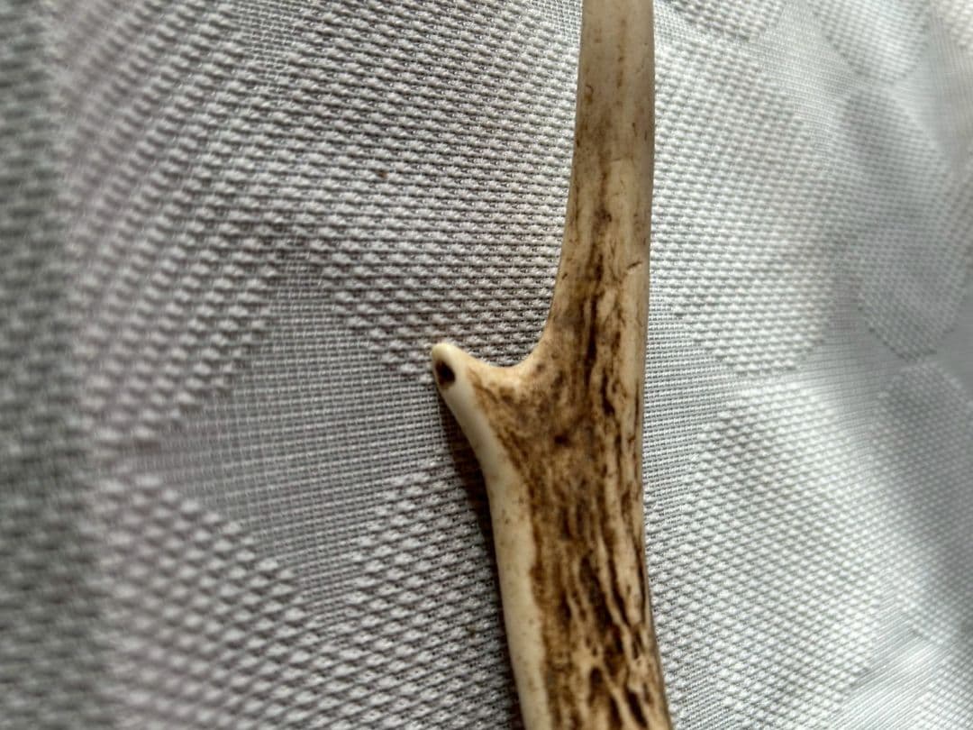 ④[1点もの] ハンティングトロフィー　鹿の角　頭蓋骨　日本鹿　スカル