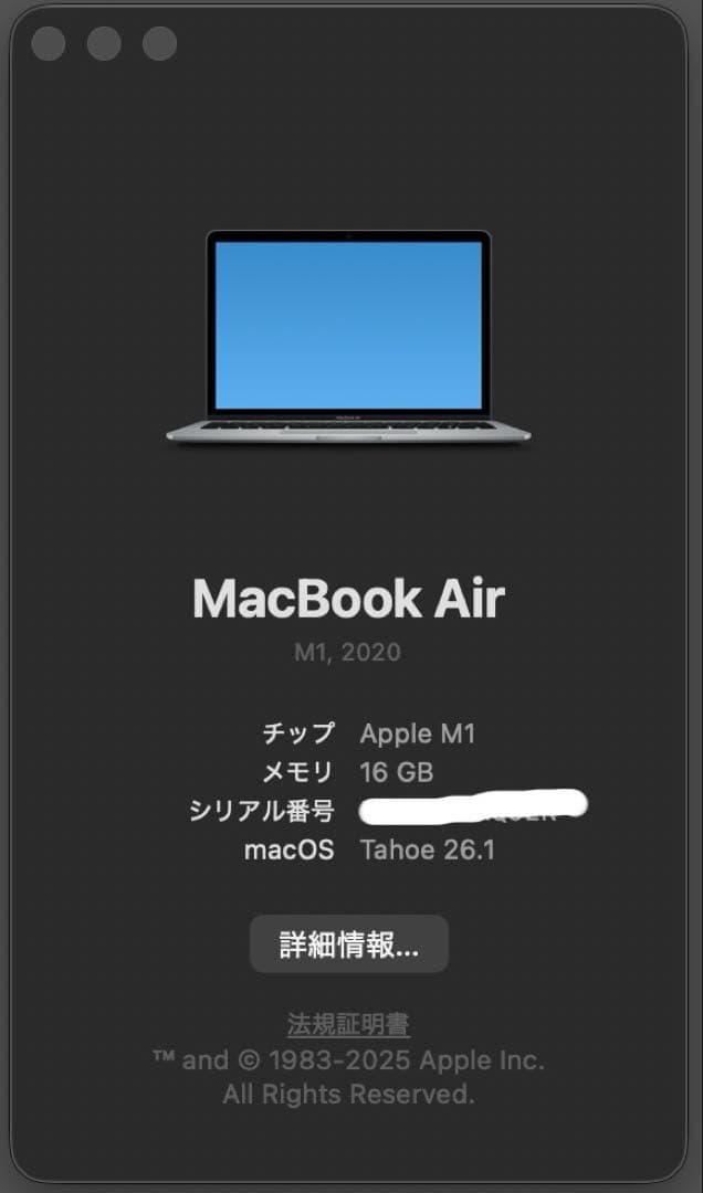 MacBook本体 M1 MacBook Air 13' 16GB SSD256