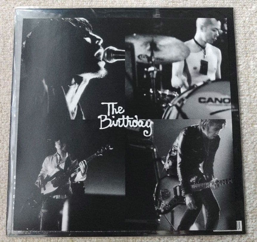 The Birthday LPレコード 2枚