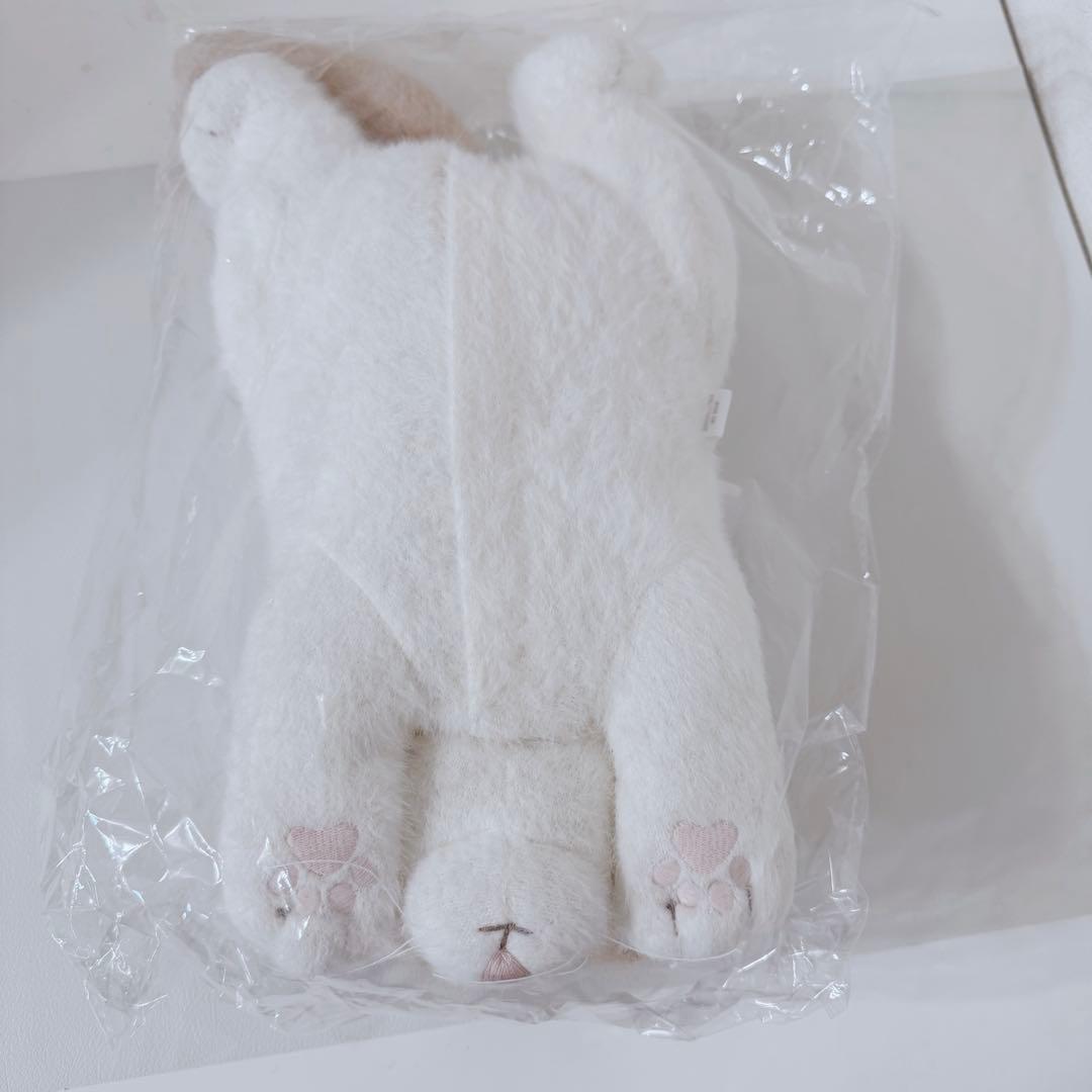 新品　ジェラートピケ　CATティッシュケース　ベージュ　ジェラピケ　完売品