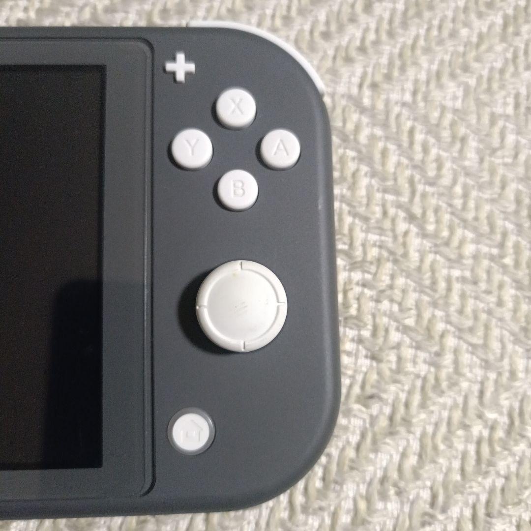Nintendo Switch Lite グレー 本体 充電器・専用ケース付き