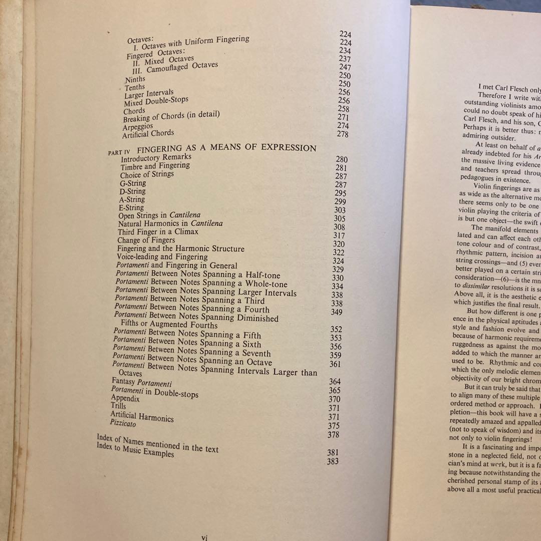 アート・デザイン・音楽 Carl Flesch: Violin Fingering