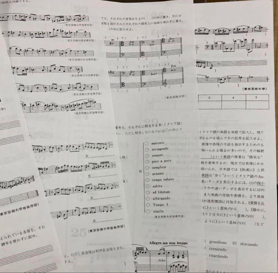 【東京藝大音楽環境創造】音楽大学入試問題集　楽典　ソルフェージュ　音大入試