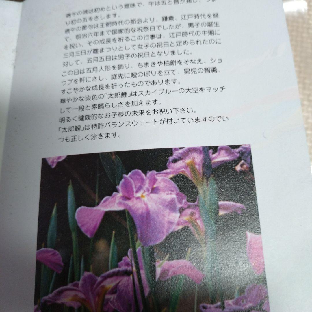 ピカピカ太郎鯉 ５m　♦　名入れ鯉付き七点セット　☆値下げ57.777円→