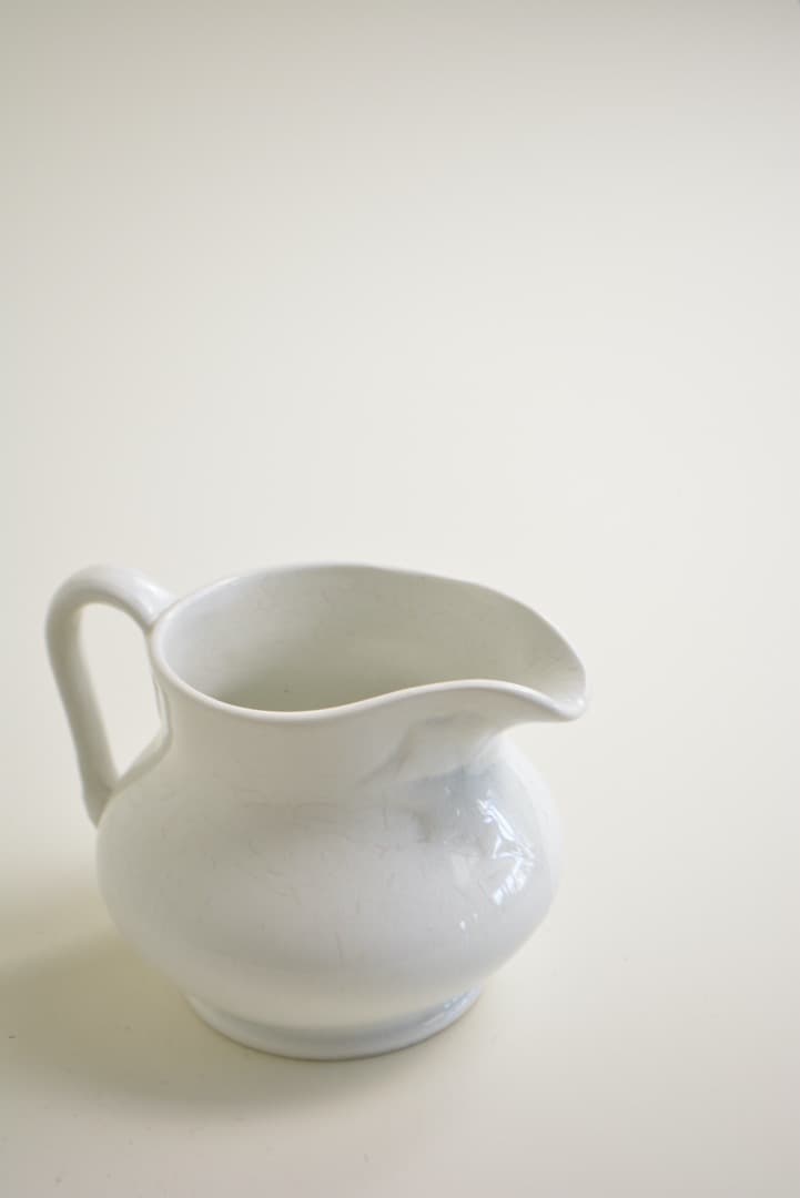 サルグミンヌ ピシェ  フランス