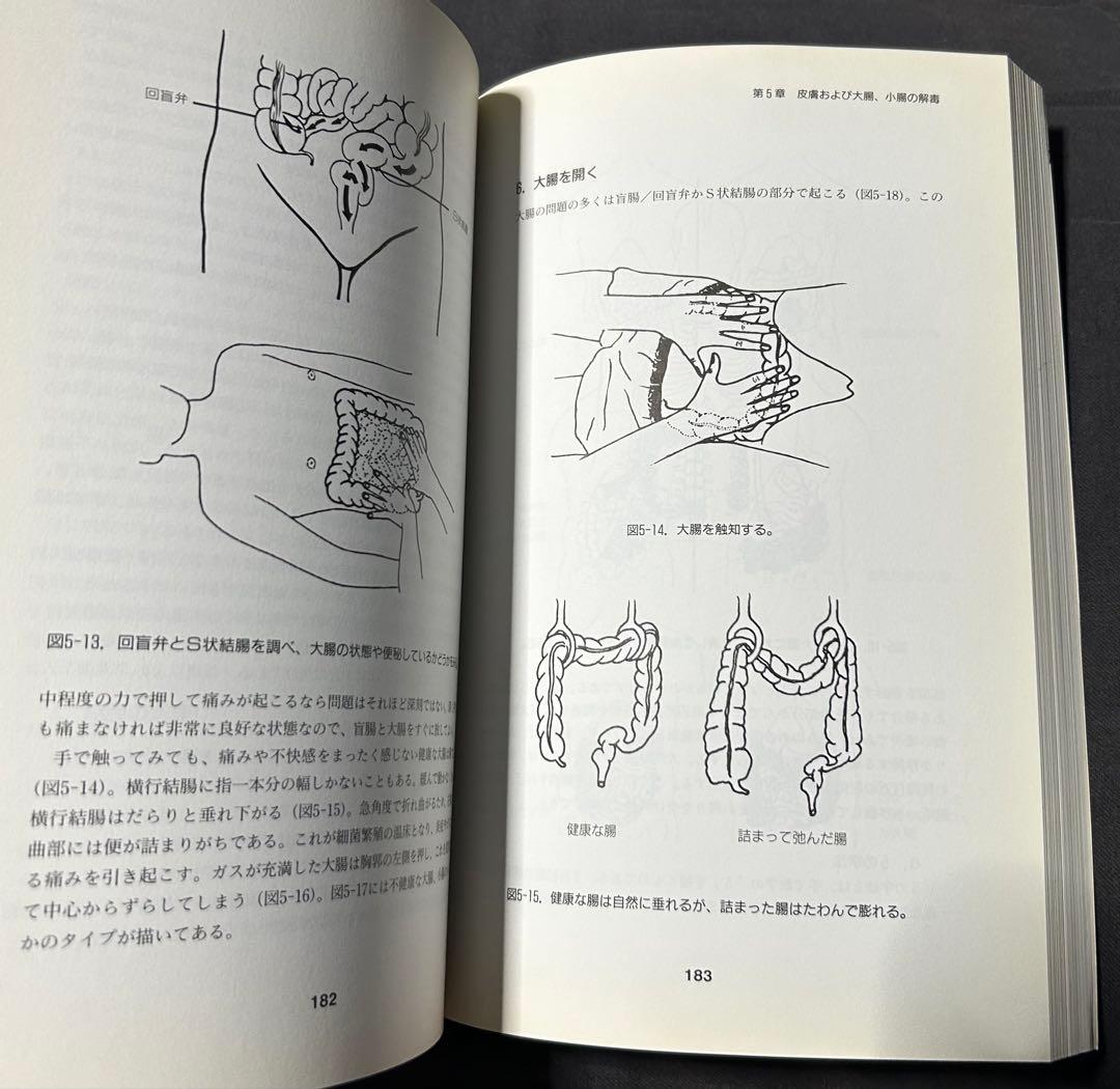 気内臓療法　チネイザン　謝明徳　マンタク・チャ　ヒーリング　気功　太極拳