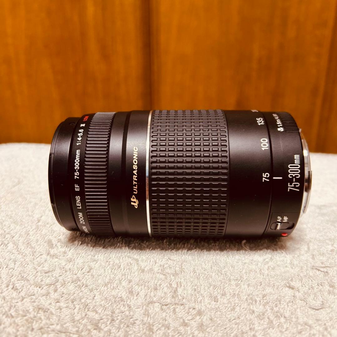 Canon EF 75-300mm 4-5.6 III USM 超望遠レンズ