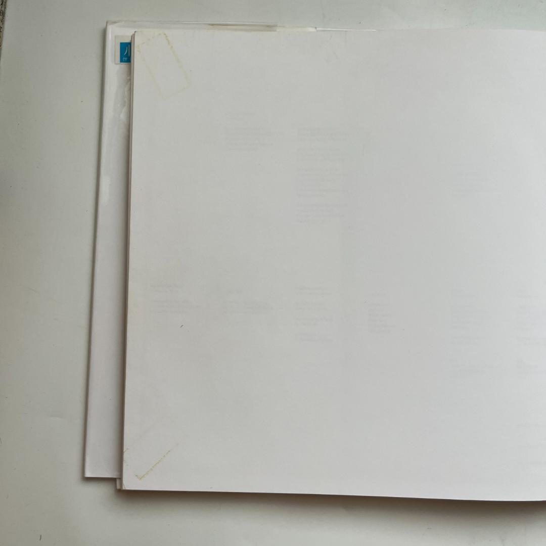 バーゼルへの道　ヘルムート・シュミット　der Weg nach Basel