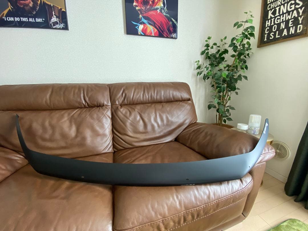 デリカD5用 バグガード