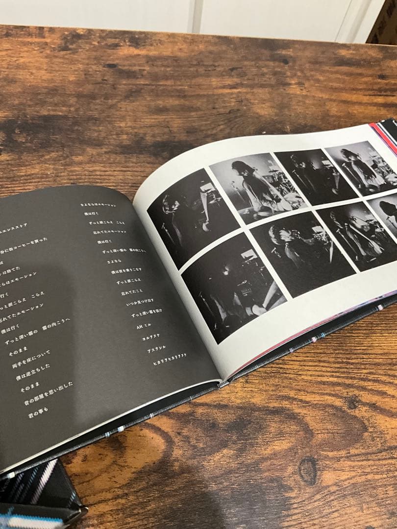 sakanaction どなたか意思を継いでセット②