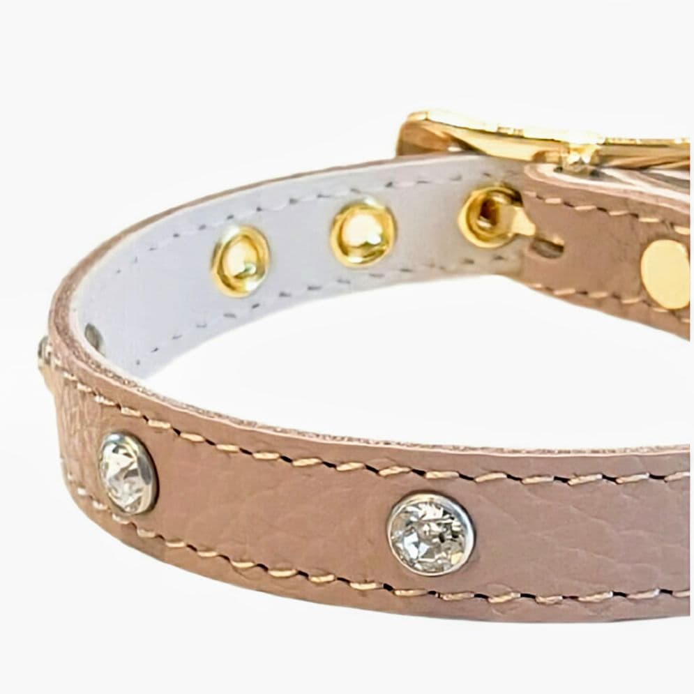 バディーベルト　ハーネス・カラー・リードの3点 バディベルト　BUDDYBELT