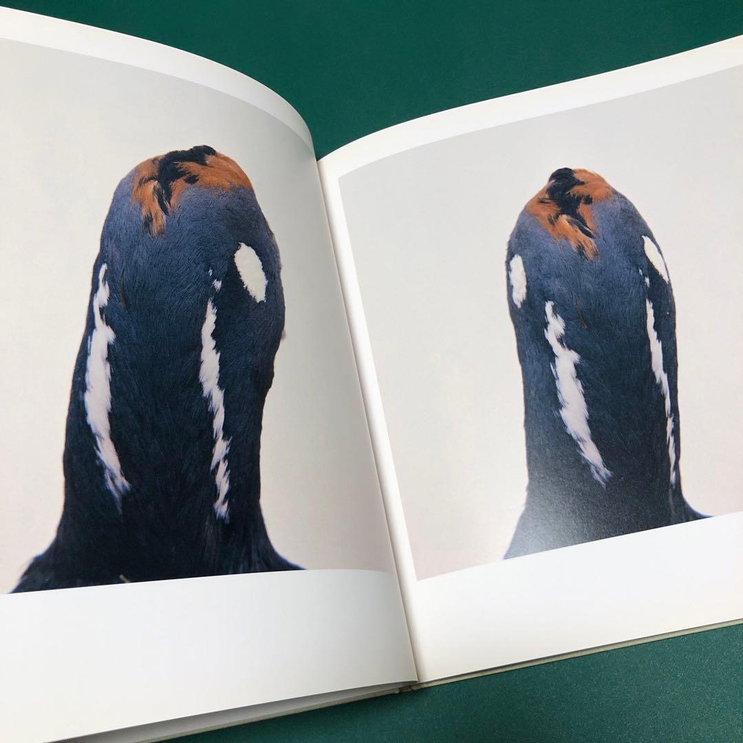 bird by RONI HORN ロニ・ホーン作品集