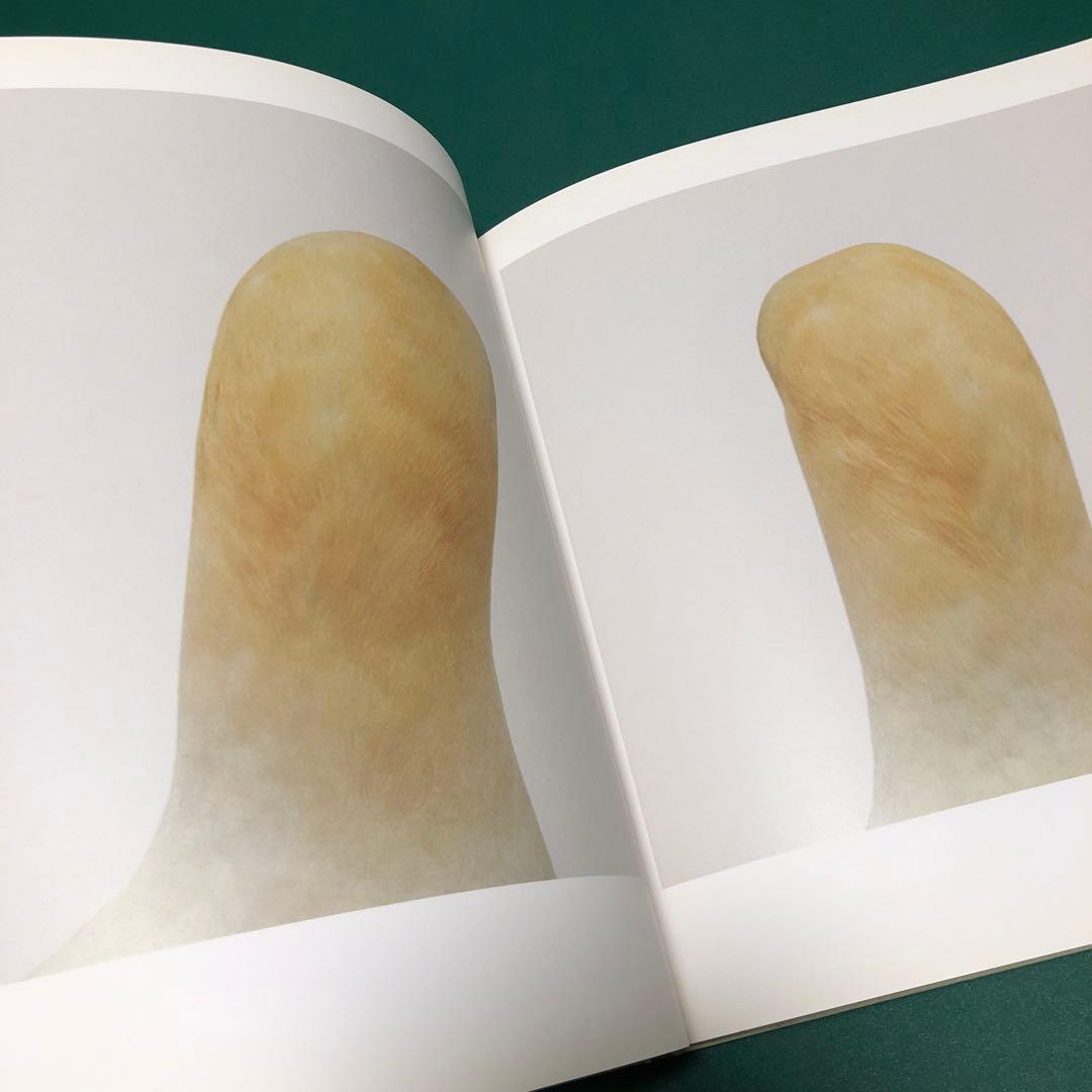 bird by RONI HORN ロニ・ホーン作品集