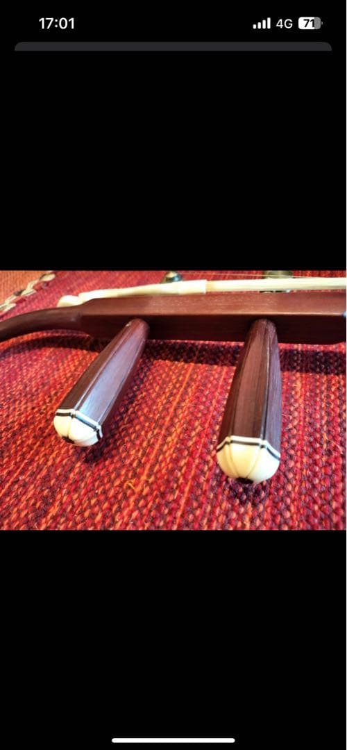 付属品充実！二胡本体と一式 ケース・教本DVD付き