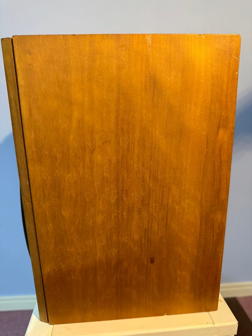 スピーカー・ウーファー zappamanTANNOY revolution r1