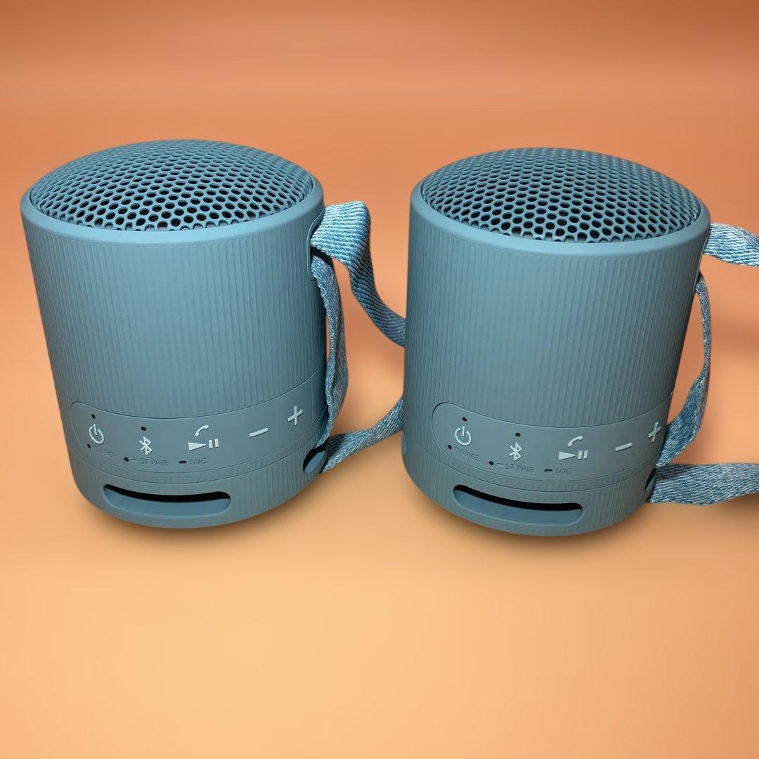 【2機セット】【美品】SONYワイヤレススピーカー SRS-XB100