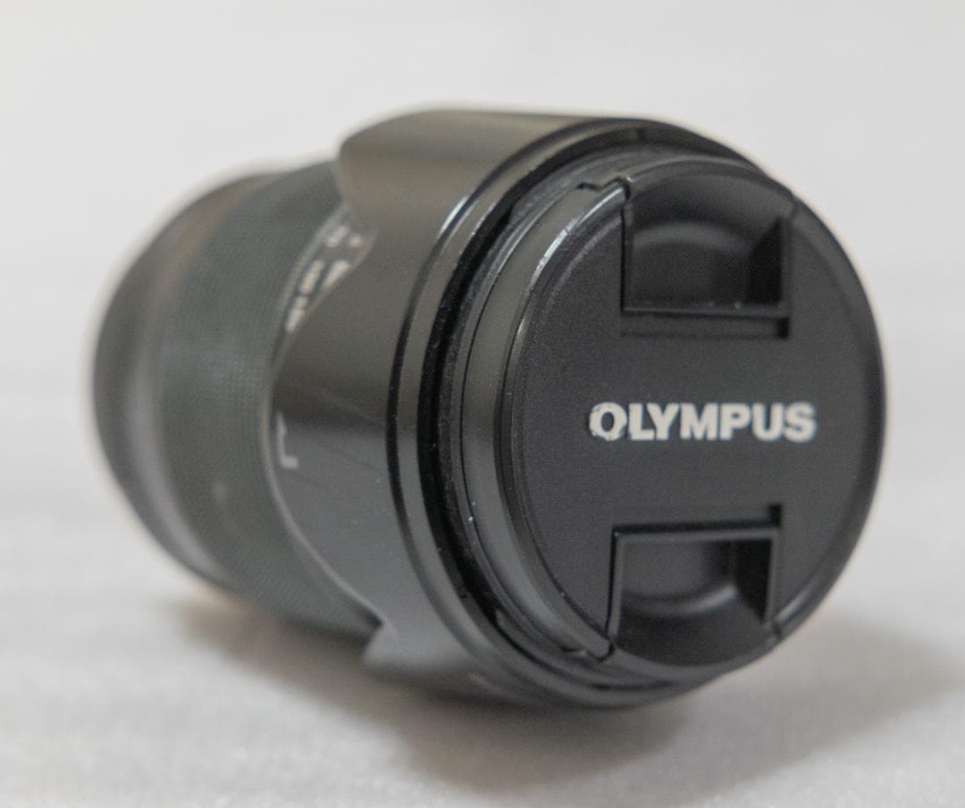 【美品】OLYMPUS E-M1 レンズ付