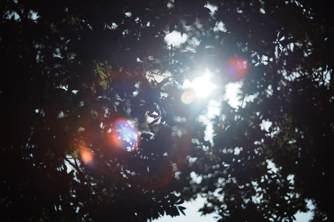 【極美品】動作◎ オリンパス G.Zuiko auto 50mm F1.4 54