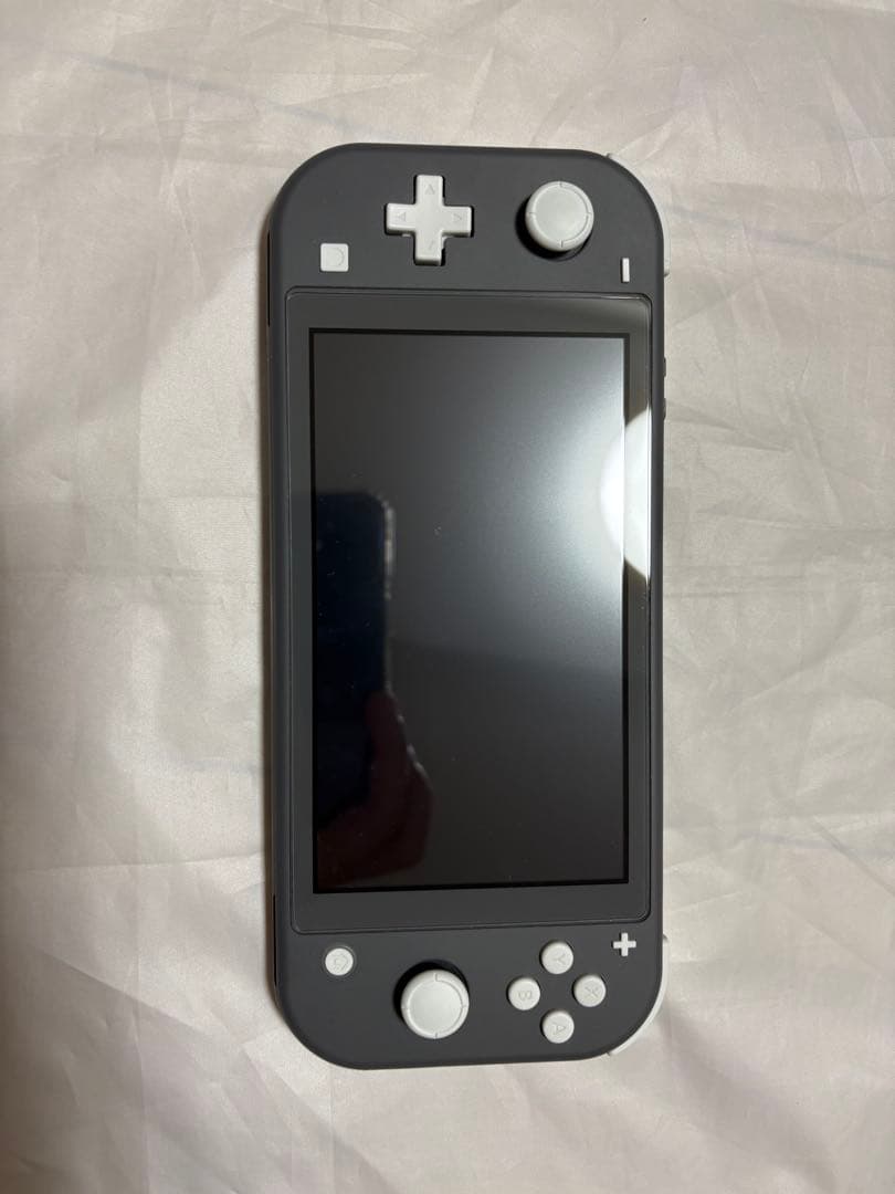 Nintendo Switch Lite グレー 本体　動作確認済み　箱あり