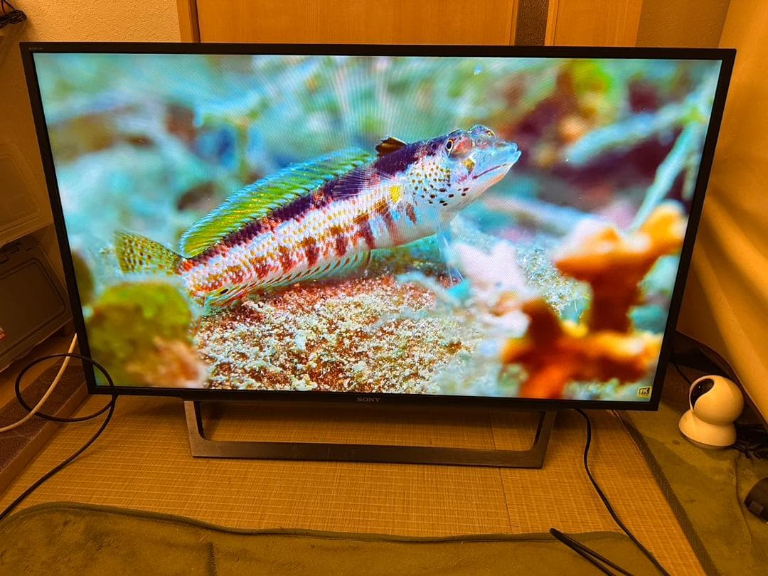 ネットフリックス可！SONY ソニー　テレビ　KJ-43W730E　2020年製