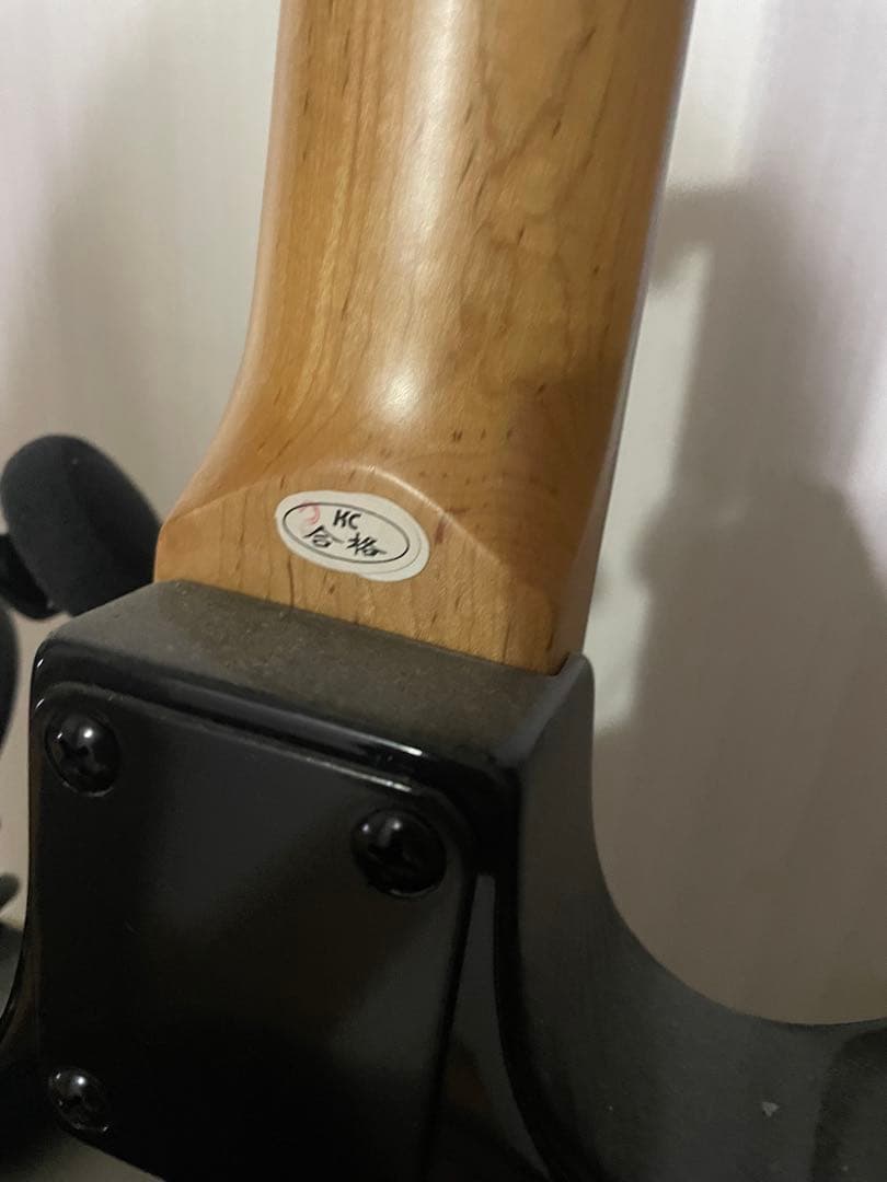 エレキギター シルバーグラデーション PG-10アンプ付き