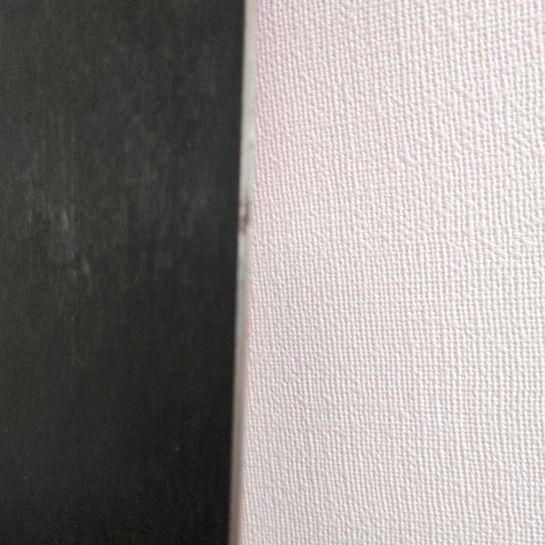 Rossignol Hero　子供用　スキーセット