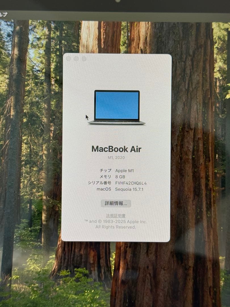 MacBook本体 MacBook Air M1 2020 8GB/256GB