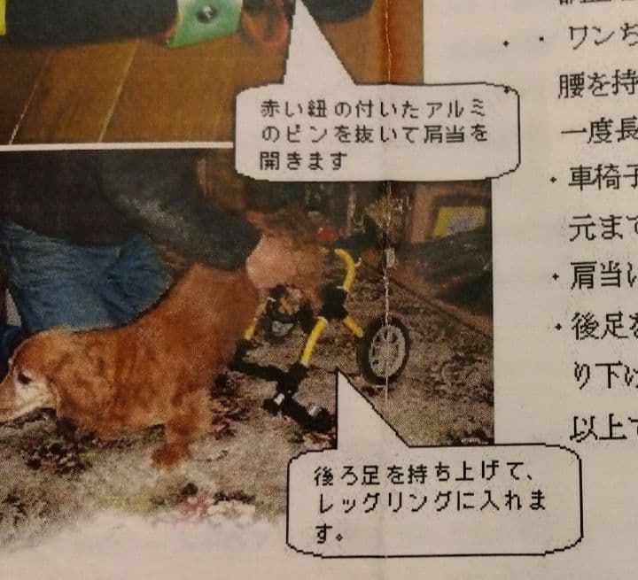 アドワークス　犬用車椅子 ドッグウォーカー 歩行器 補助具 ペット用車椅子